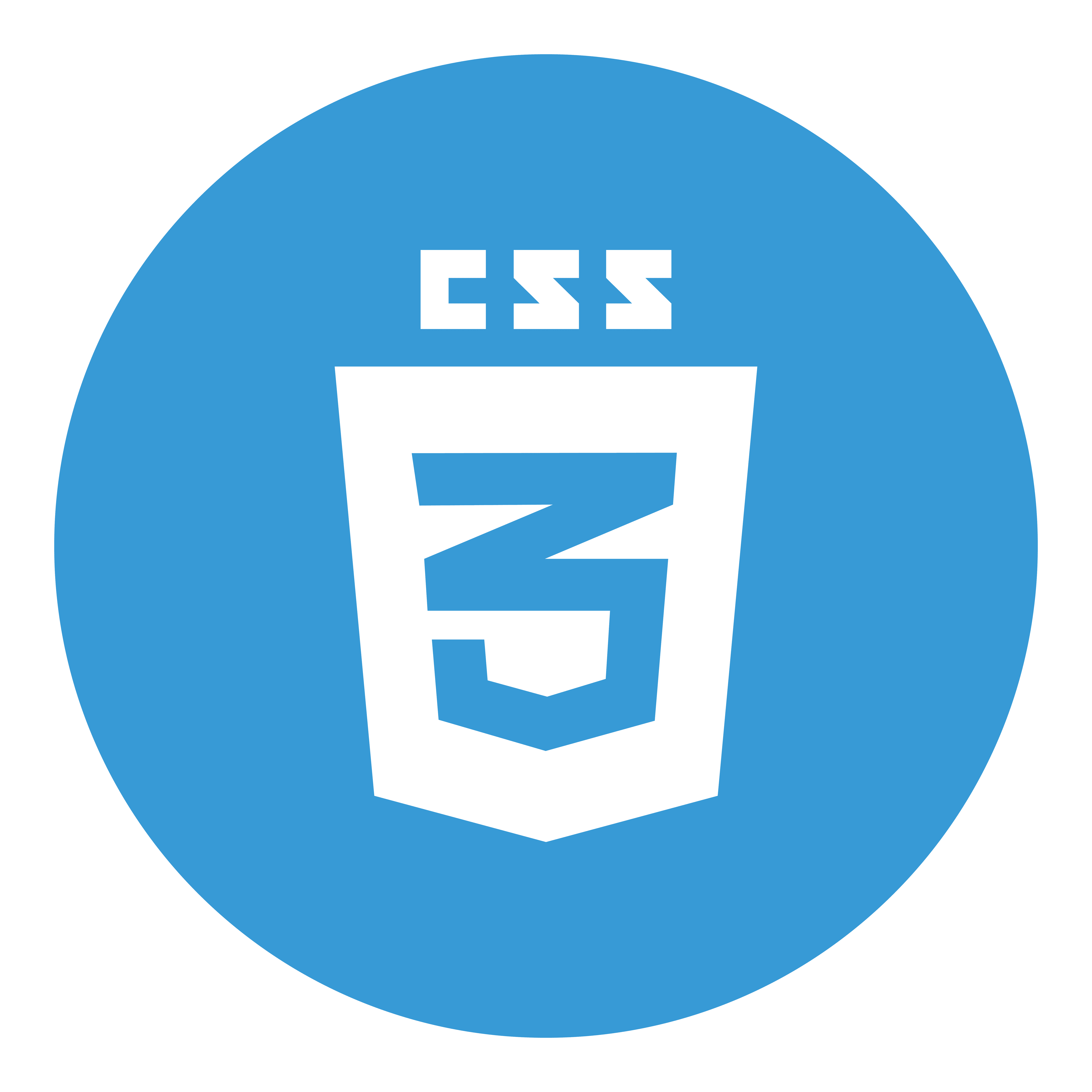 CSS logo
